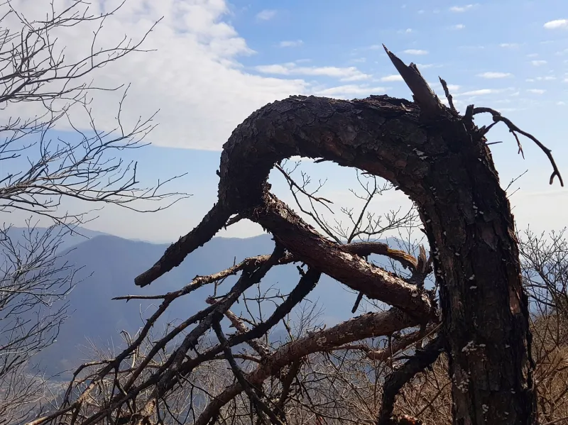 함안 여항산