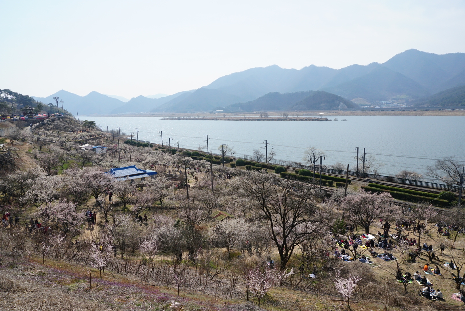 부산 근교 순매원 10