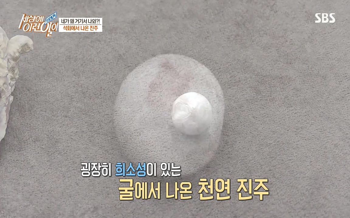 순간포착 세상에 이런일이.E1182.220532p-NEXT.mp4_20220601_173143.902.jpg