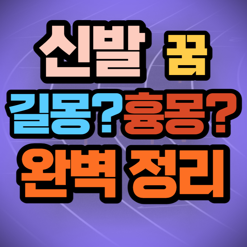 신발 잃어버리는 꿈 (1)