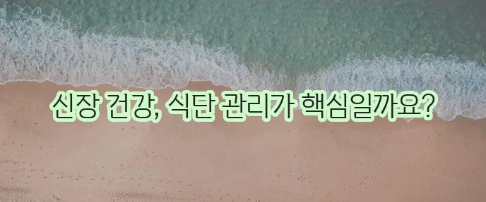 만성 신부전증에 좋은 음식 어떤 것들이 중요할까요?