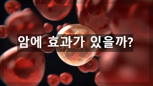 암 세포 표현