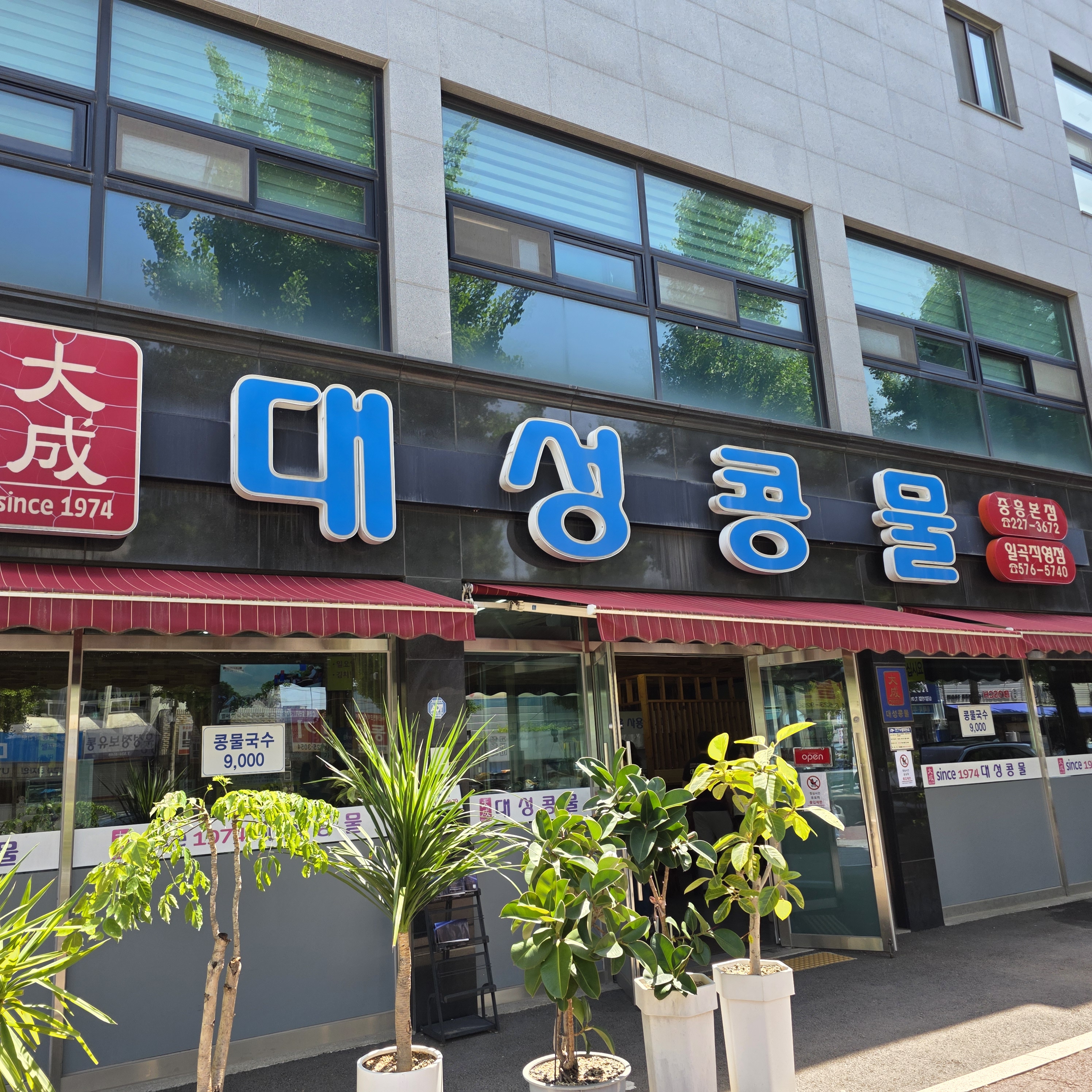 대성콩물 이미지