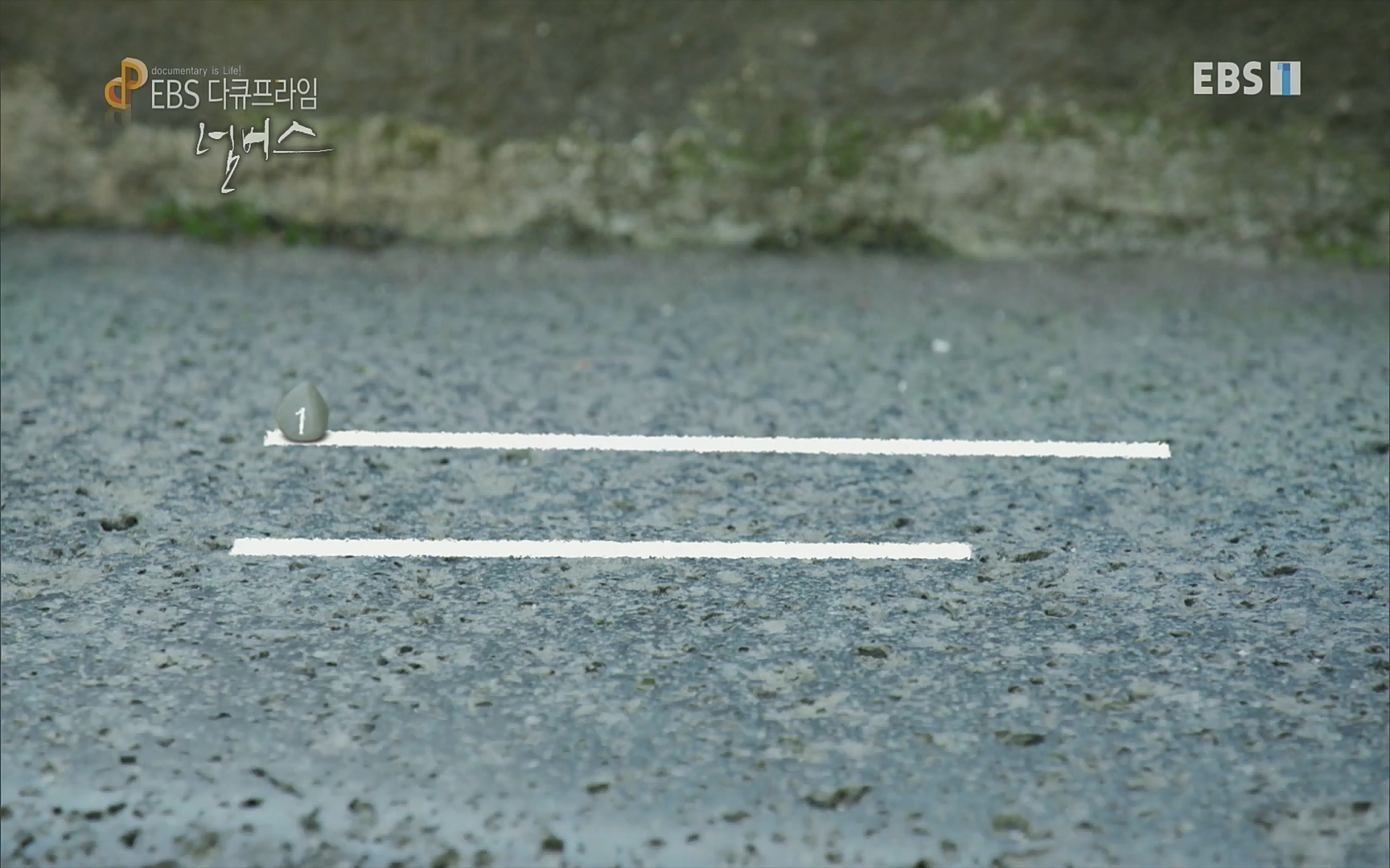 EBS 다큐프라임 - TV - 교육의 중심 EBS넘버스 - 2부 천국의 사다리, ∞.mp4_20220723_150836.137.jpg