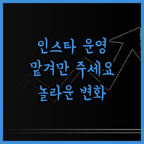 인스타그램 페이스북 운영, 이제 전문