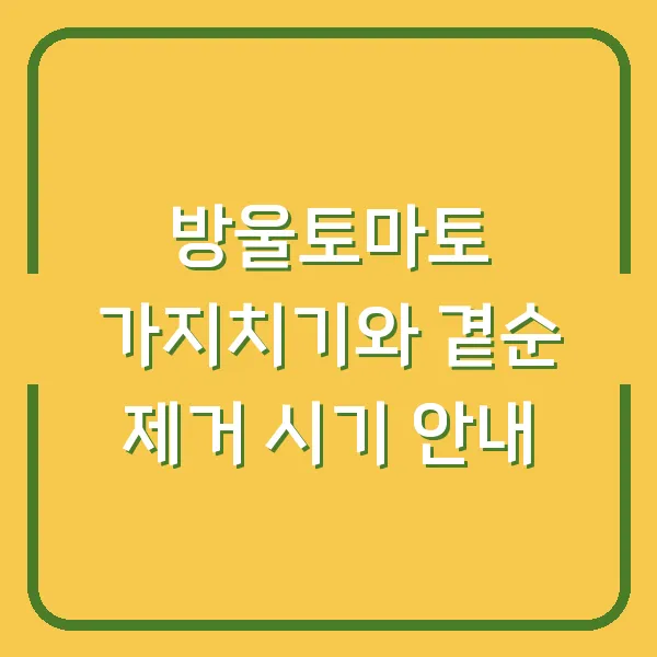방울토마토 가지치기와 곁순 제거 시기 안내