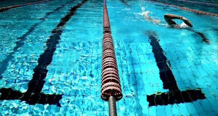 파리 올림픽 수영 일정 4 img