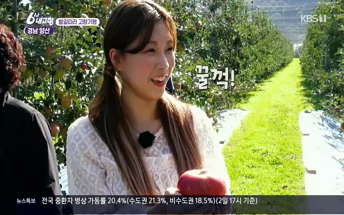 6시 내고향.E7630.221004p.H264-F1RST.mp4_20221004_213257.570.jpg