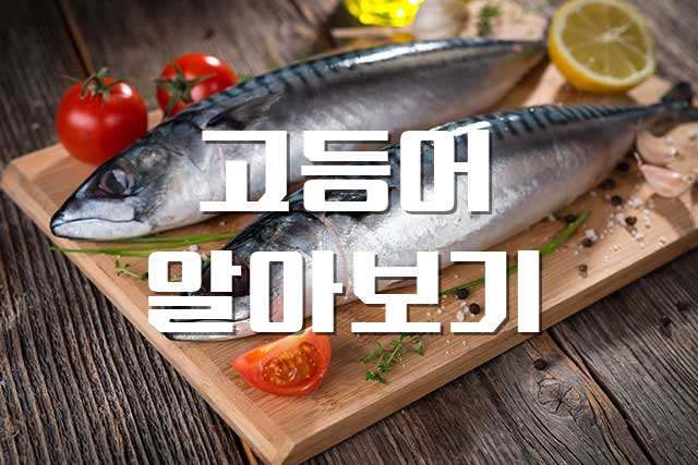  고등어, DHA와 EPA가 풍부한 국민 생선