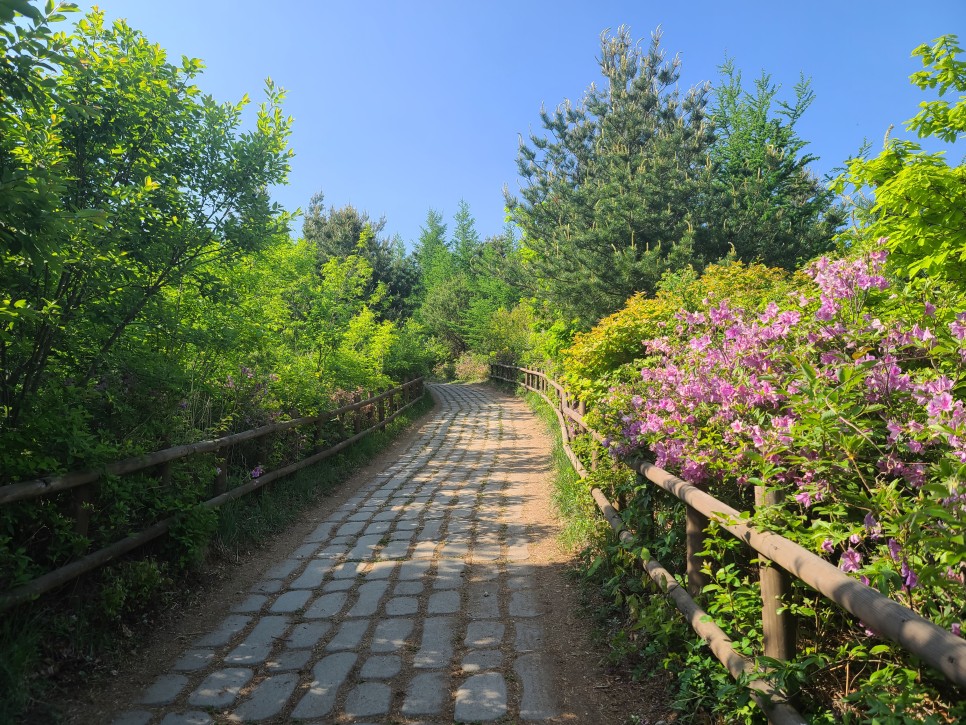 흑약 100대 지리산 바라봉 최단 등산코스 3