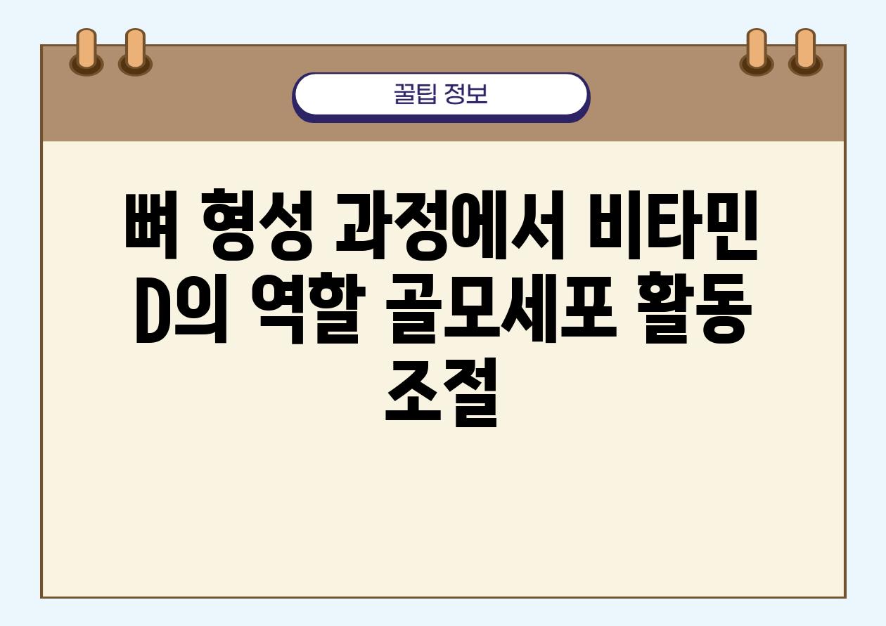 뼈 형성 과정에서 비타민 D의 역할 골모세포 활동 조절