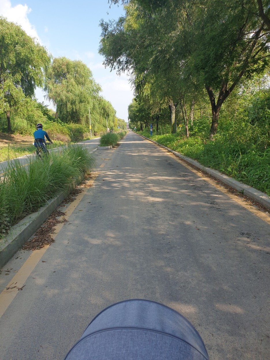 강서 한강 생태 습지 공원 자전거 도로 모습