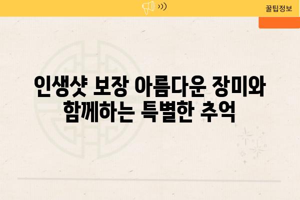 인생샷 보장 아름다운 장미와 함께하는 특별한 추억