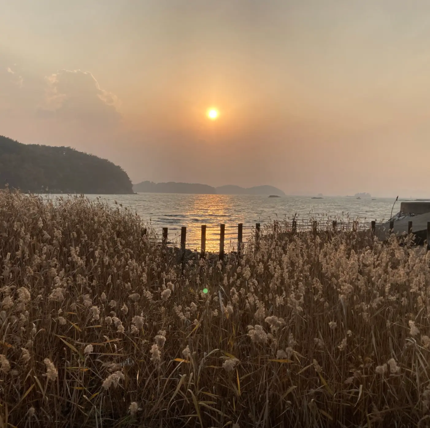 사진14