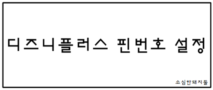  디즈니 플러스 핀번호