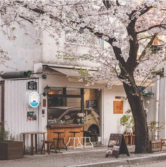 진심