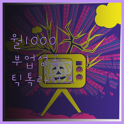 틱톡 라이브로 월 1천만원 부업 성공