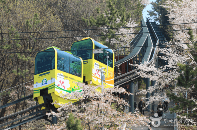 제황산공원