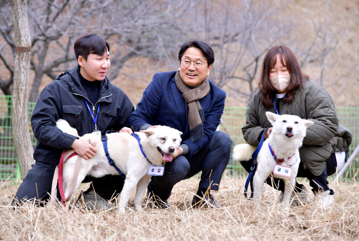 광주 우치동물원에 새 보금자리를 마련한 풍산개 ‘송강’(수컷)와 ‘곰이’(암컷).