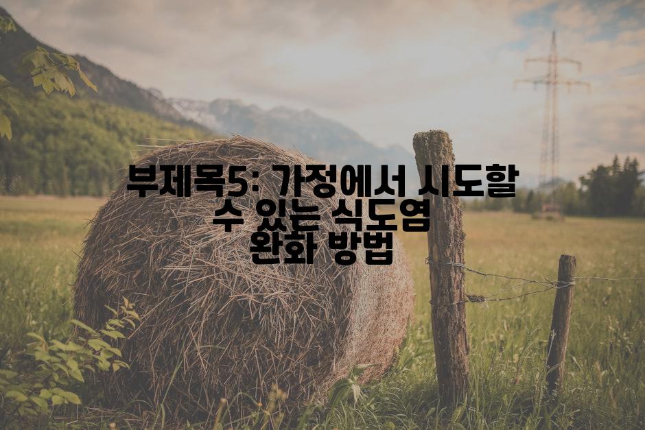 부제목5: 가정에서 시도할 수 있는 식도염 완화 방법