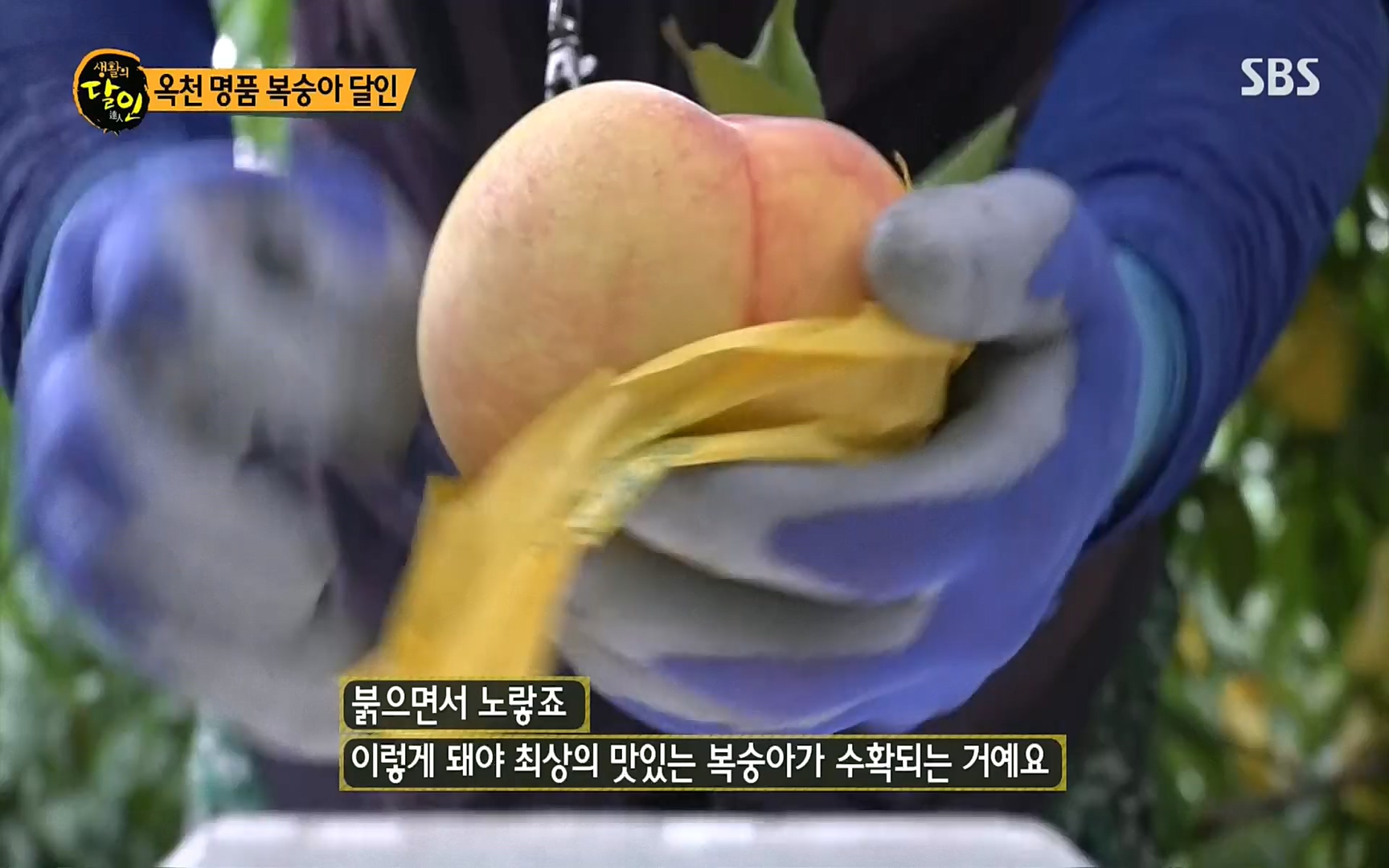 생활의 달인.E856.220815p.H264-F1RST.mp4_20220816_203843.650.jpg