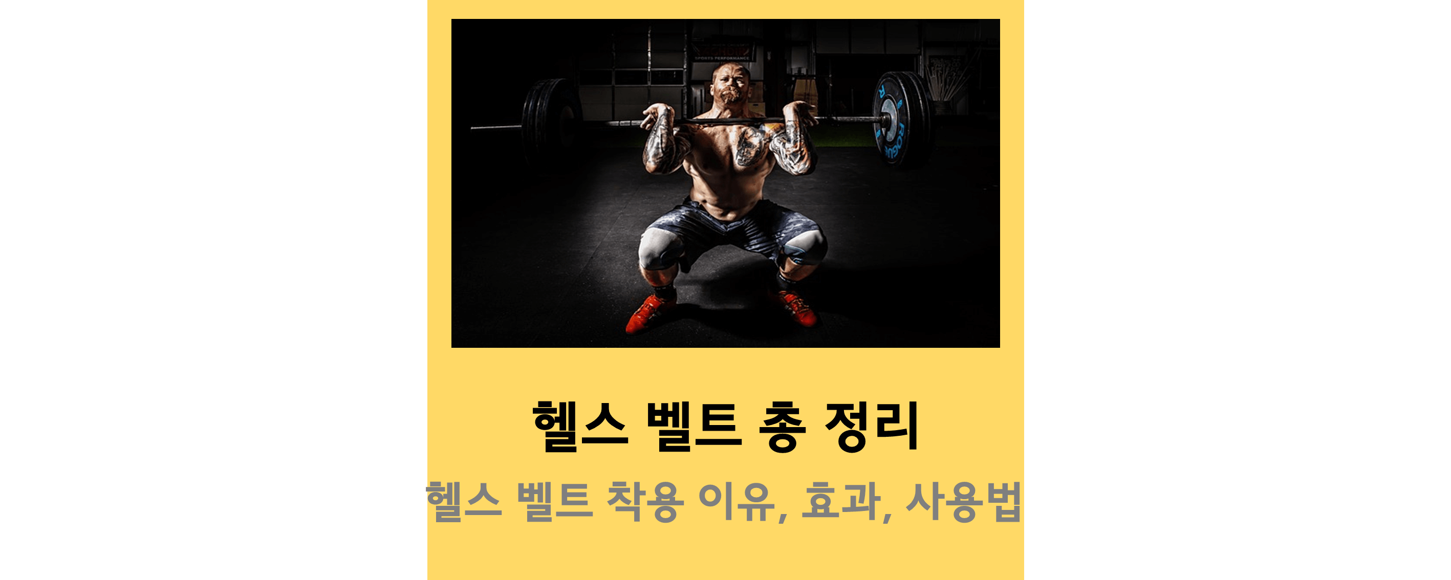 헬스벨트