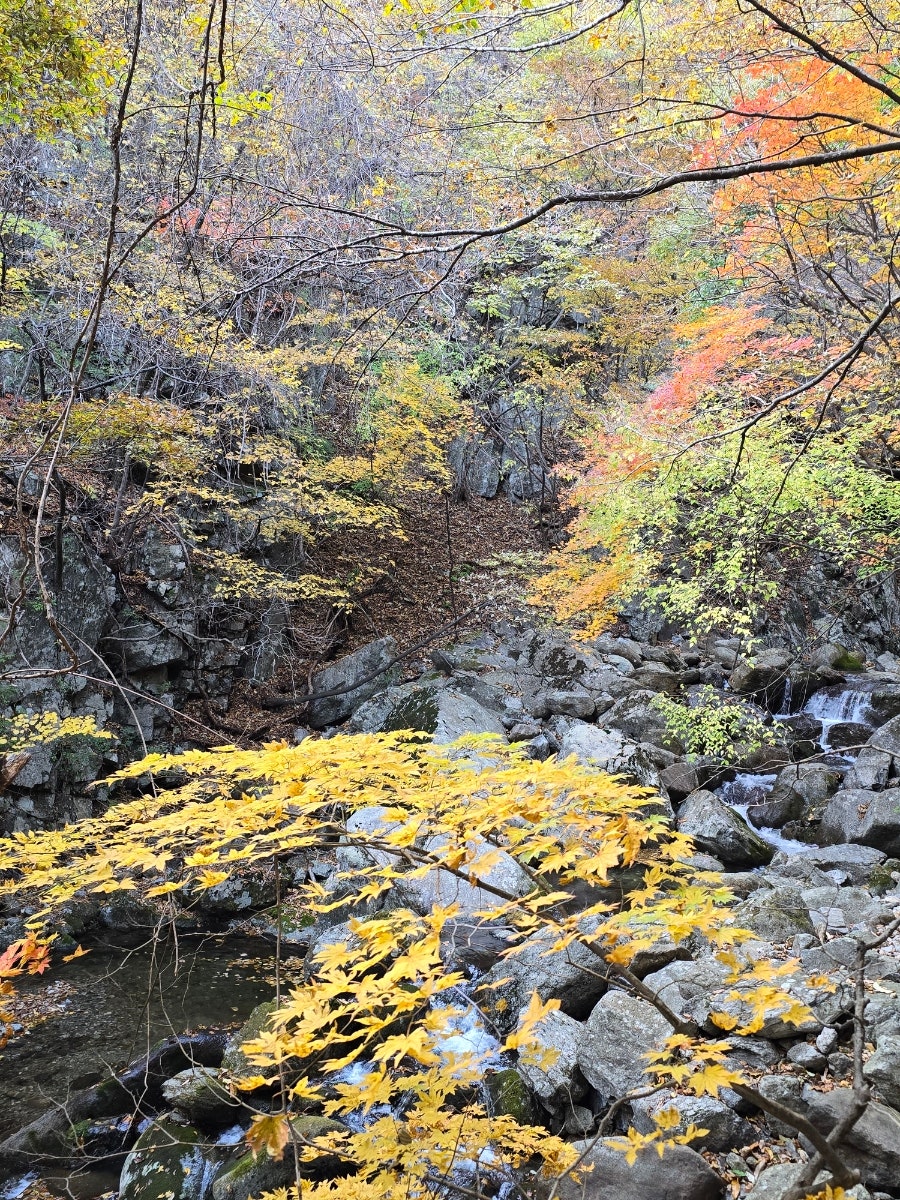 소백산국립공원 희방사코스 이미지