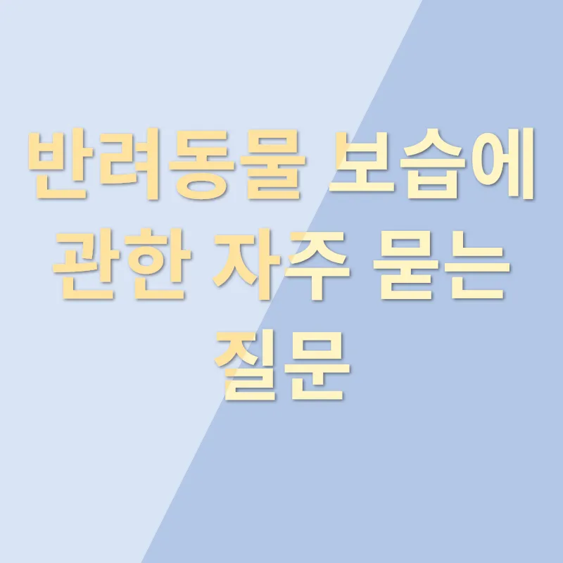 반려동물 보습_4
