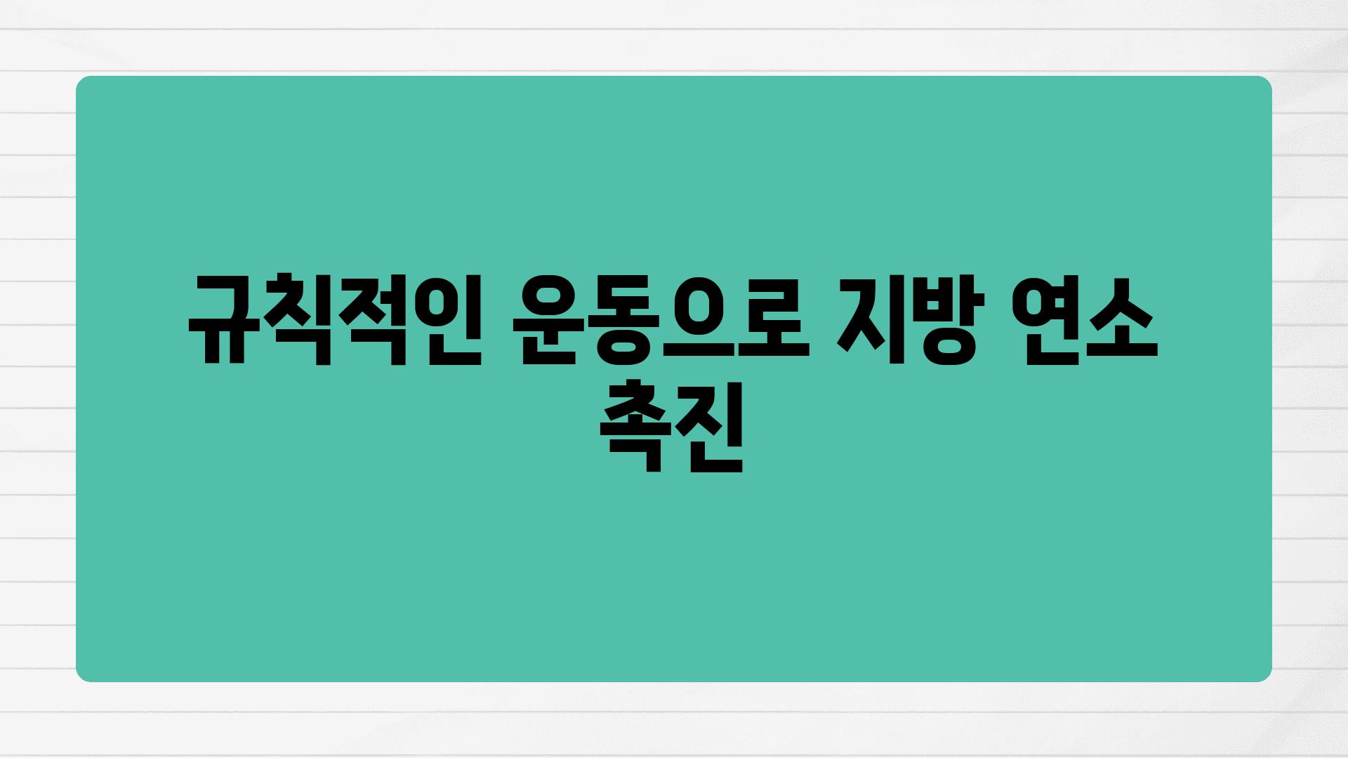 규칙적인 운동으로 지방 연소 촉진