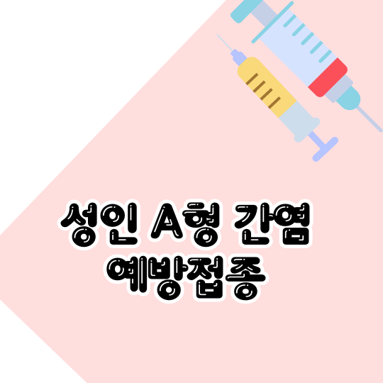 a형간염-성인-예방접종-간격