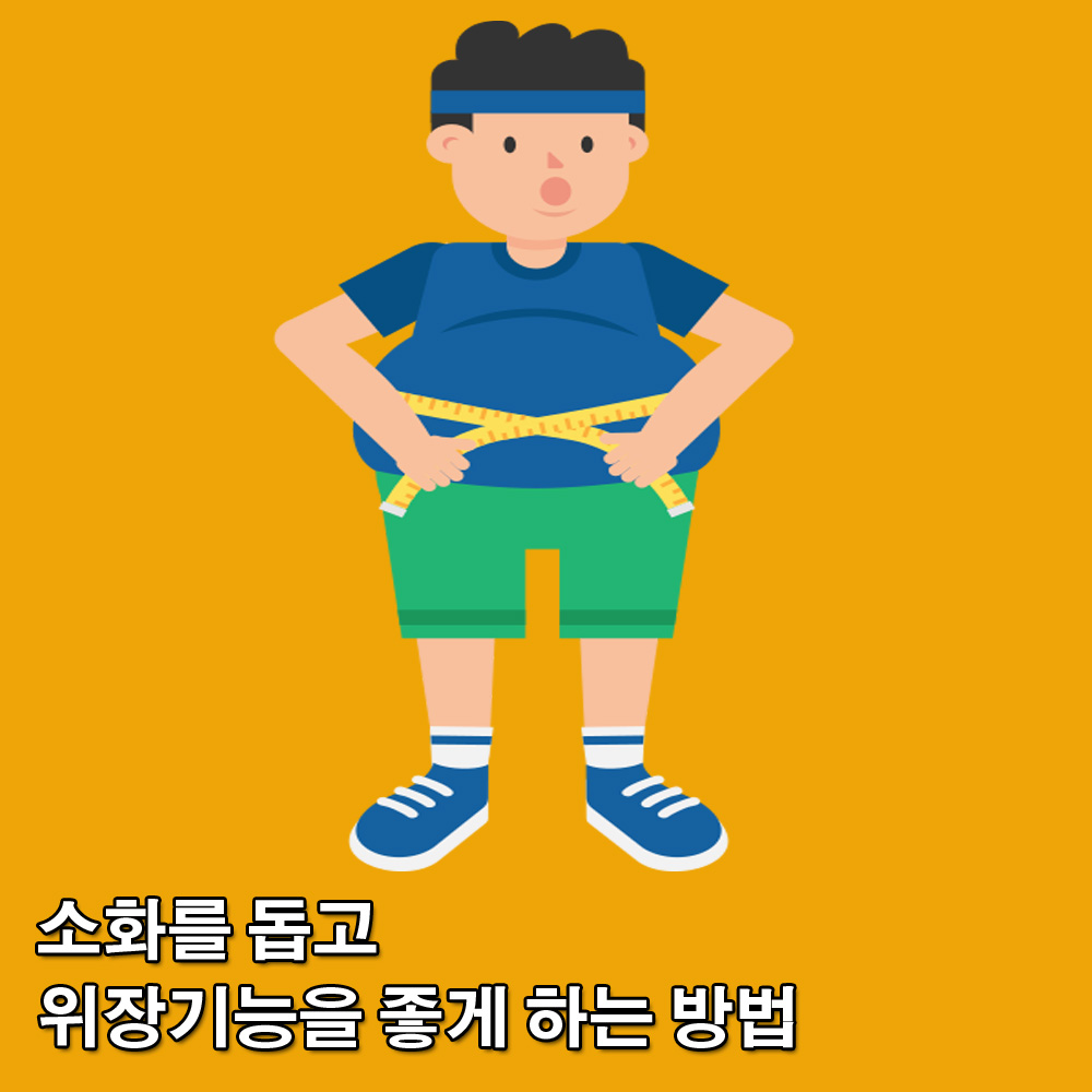  위장병.위장장애.소화불량.위장에 좋은 약초