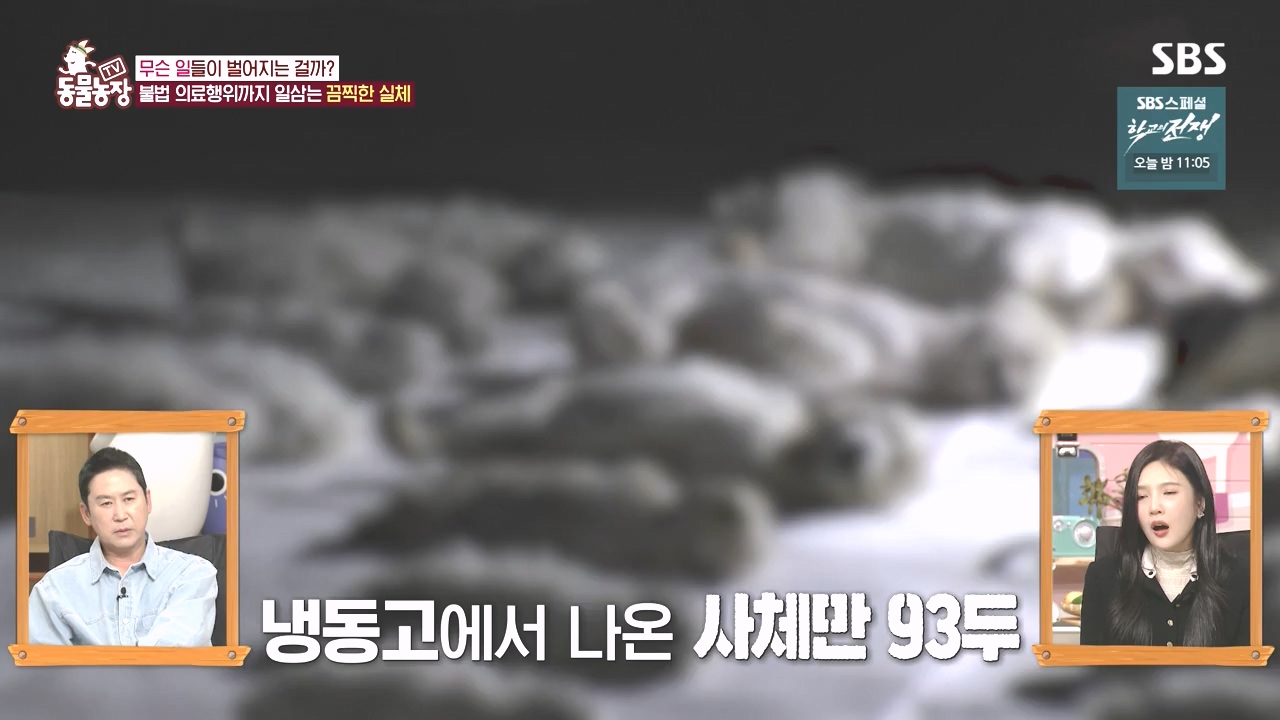 TV 동물농장.E1142.231023p-NEXT.mp4_20231022_174011.970.jpg