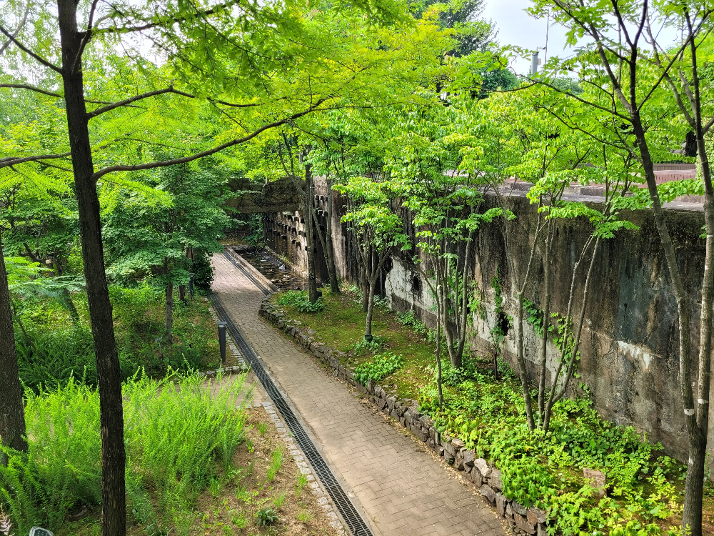 선유도