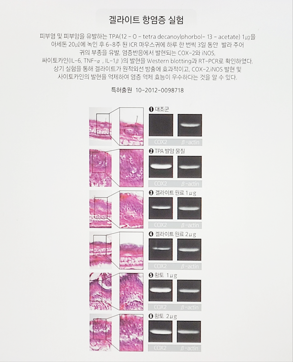 시민슈퍼 이미지