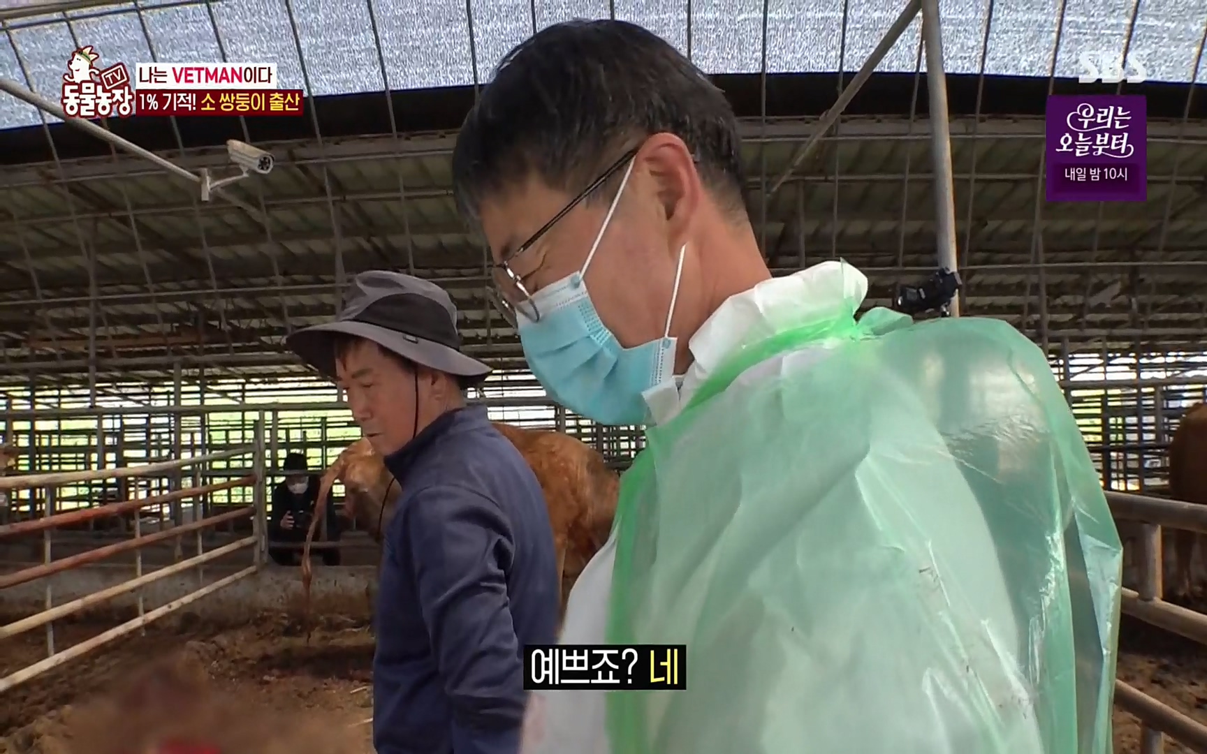 TV 동물농장.E1069.220515p.H264-F1RST.mp4_20220515_180204.645.jpg