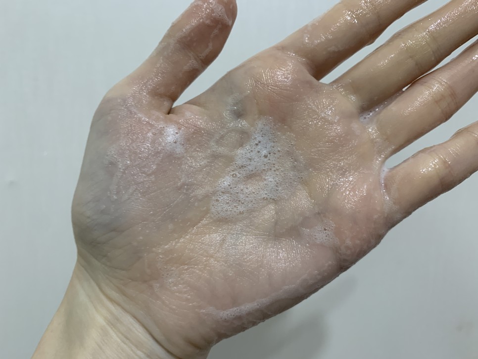 갈바 닉스 폼클렌저 8