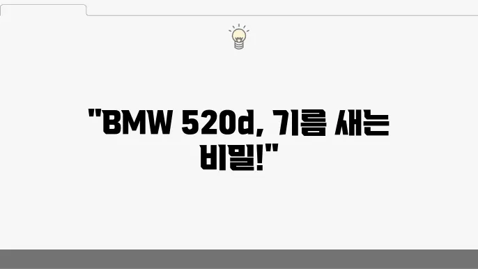 BMW 520d의 오일필터 하우징 누유 문제 해결