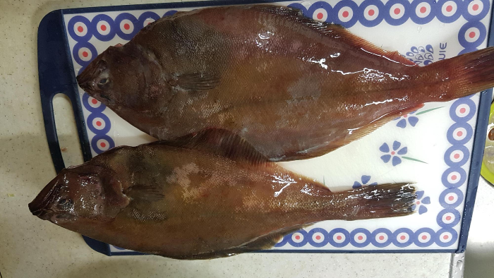  가자미 손질 부터 쉽고 맛있게 조림하기