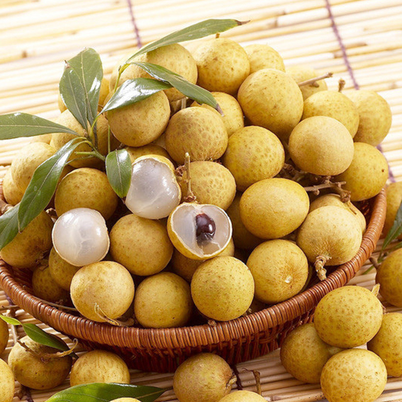  용안 (Longan) 효능효과 & 부작용