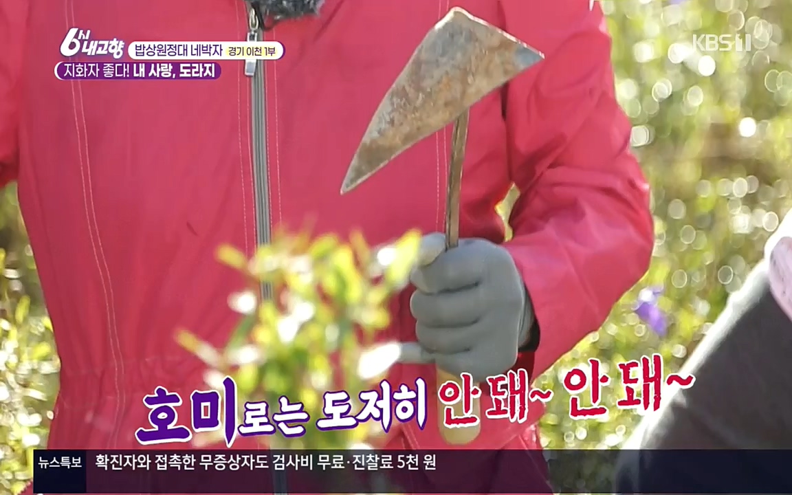 6시 내고향.E7617.220915p.H264-F1RST.mp4_20220916_213101.241.jpg