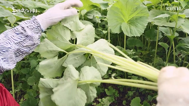 동네 한 바퀴.E228.230618p-NEXT.mp4_20230621_213525.018.jpg