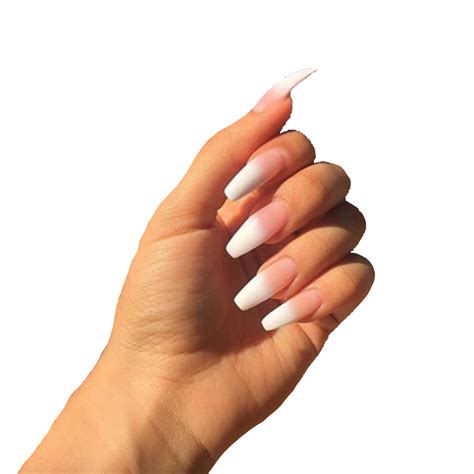 Nail ONE 이미지