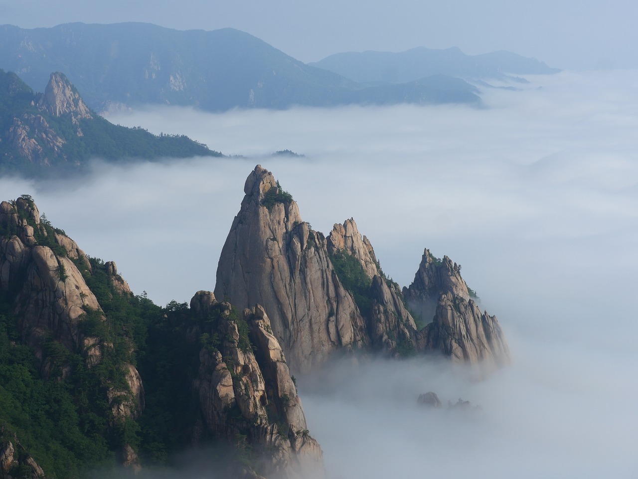산림욕 관련 사진