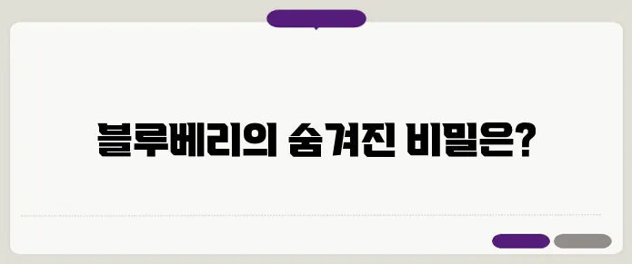 블루베리 효능 20배로 제대로 뽑아먹기! 부작용은?