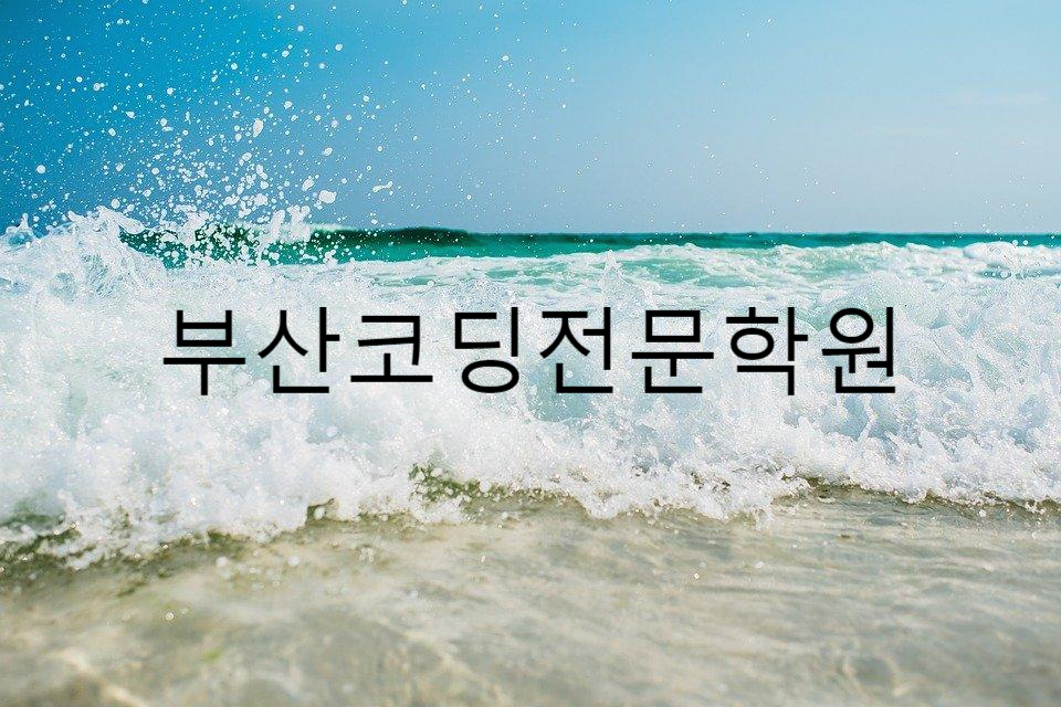  부산코딩전문학원 § 울산 양산 김해 에서 배우러 오는 IT학원