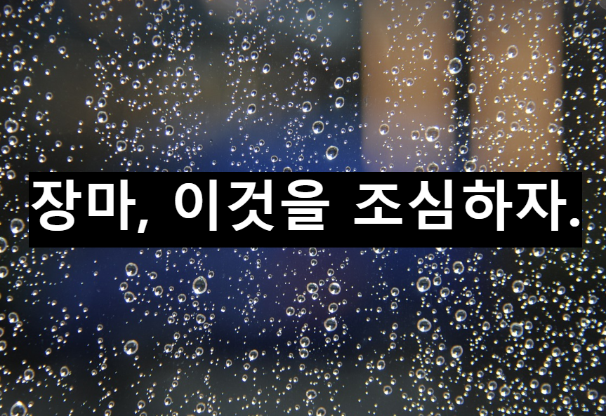  장마기간에 조심해야할 점