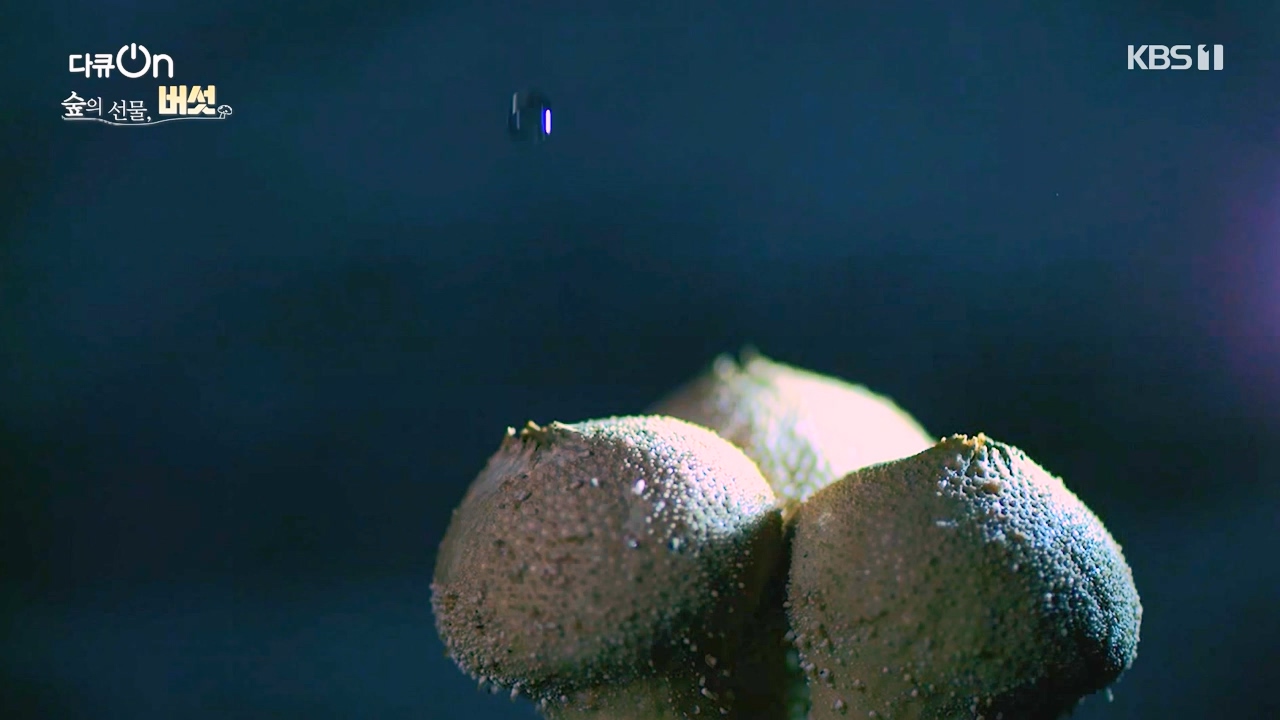 다큐 온.E227.231120p-NEXT.mp4_20231121_203656.145.jpg