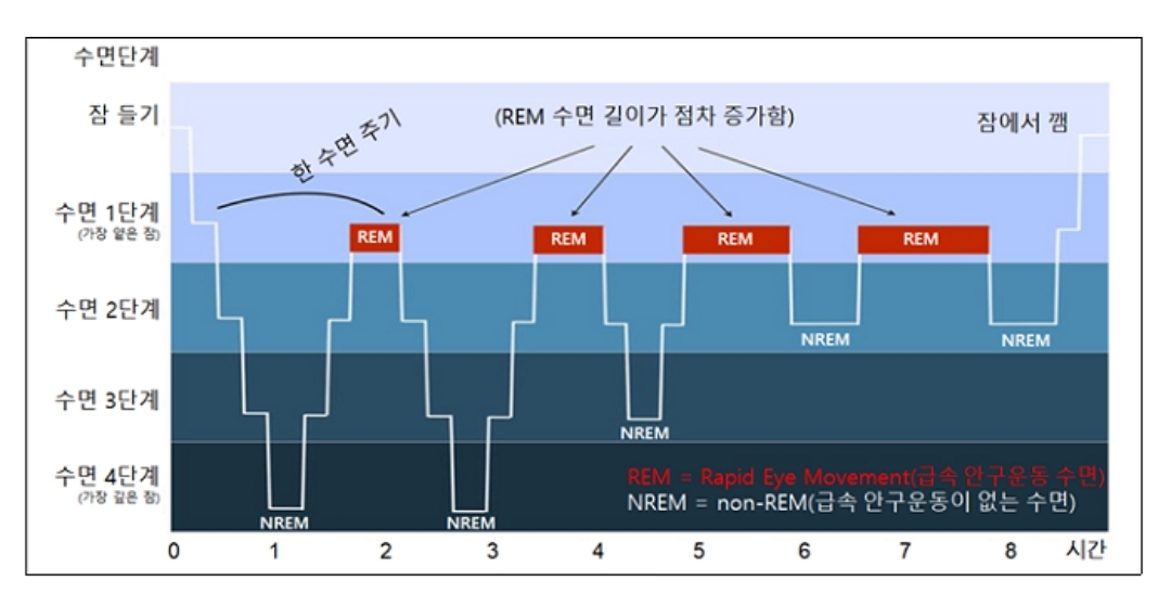 수면단계