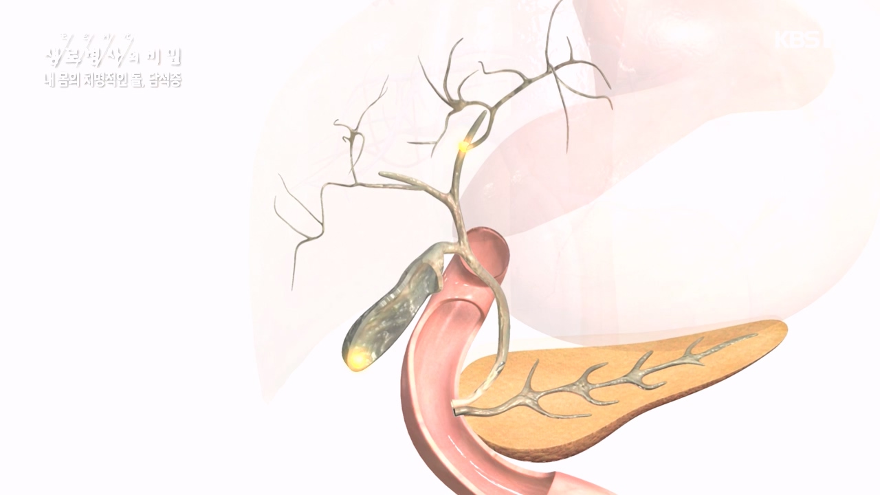 생로병사의 비밀.E886.231019p-NEXT.mp4_20231019_203445.933.jpg