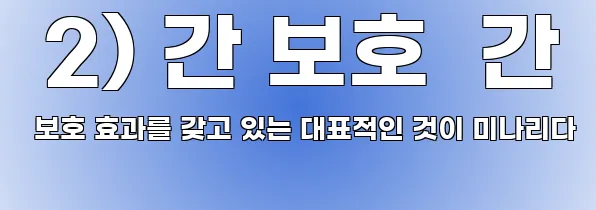  2) 간 보호  간 보호 효과를 갖고 있는 대표적인 것이 미나리다